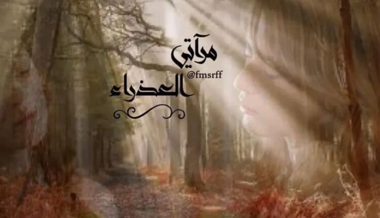 مرآتي العذراء ... بقلم: