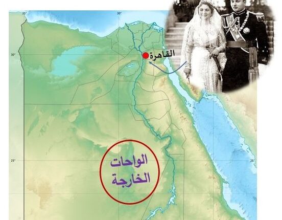 الملك يتزوج ...والخارجة تحتفل !