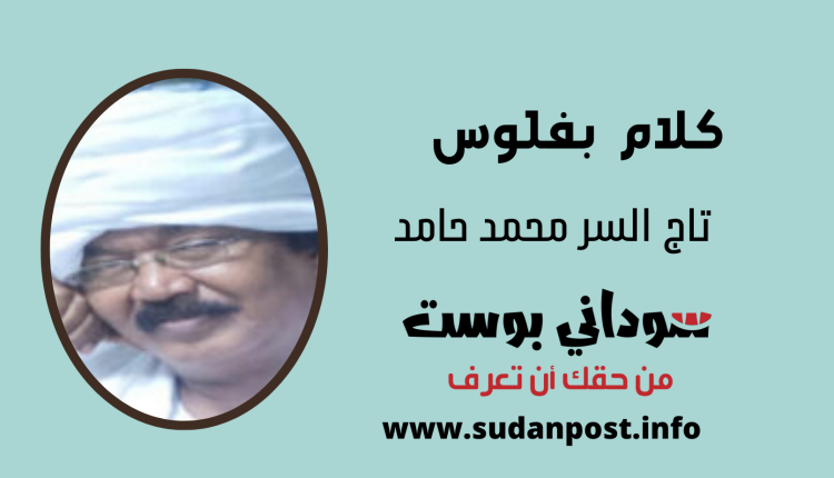 تلك المرأة المسنة .. بأي