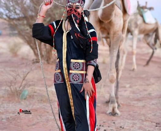 مشروع توطين الحداثة الإبداعية