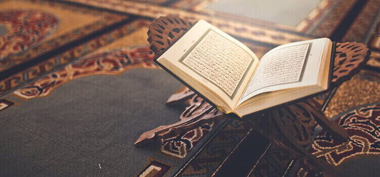  شفاء للقلوب .. شفاء لما