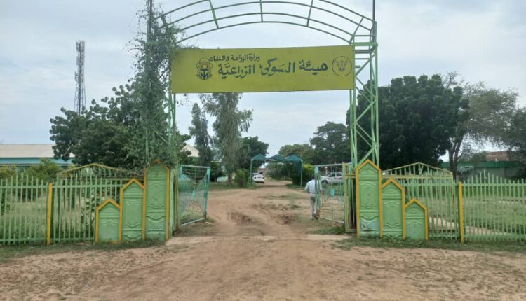 مشروع السوكي الزراعي .. موسم