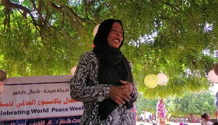 شبكة صيحة شمال دارفور