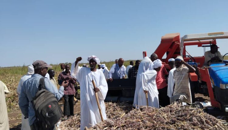 في إحتفالات عيد الحصاد