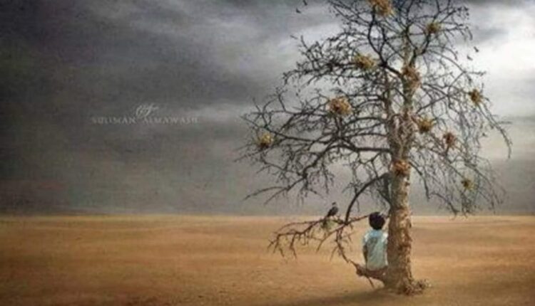 إستغاثة الشمالية أمطار تزمجر