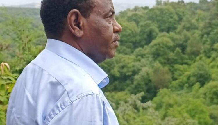 سيف الدين حسن… المخرج